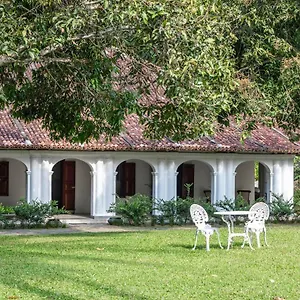 https://the-kandy-house.negombohotels.net